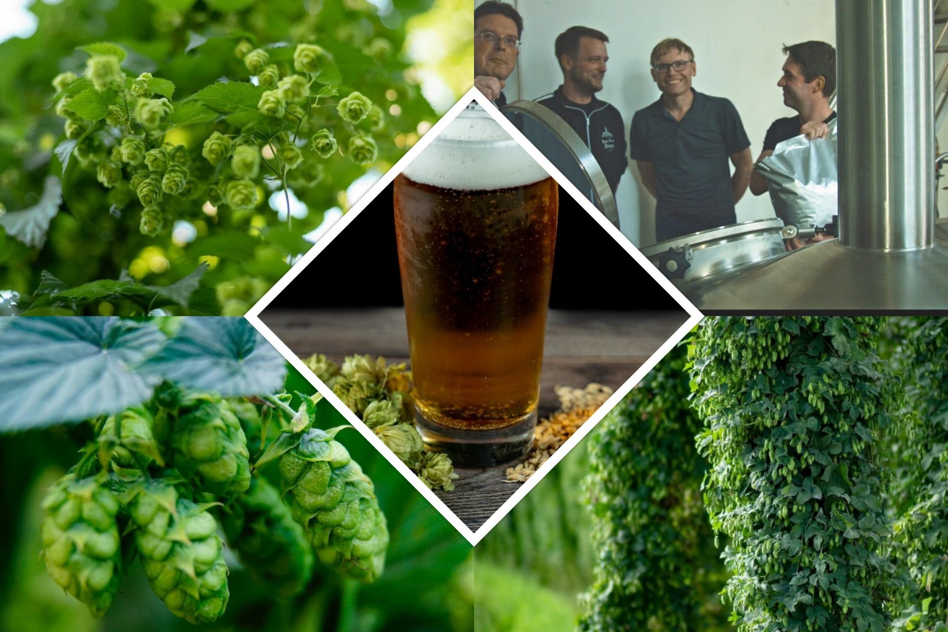 hops2brew